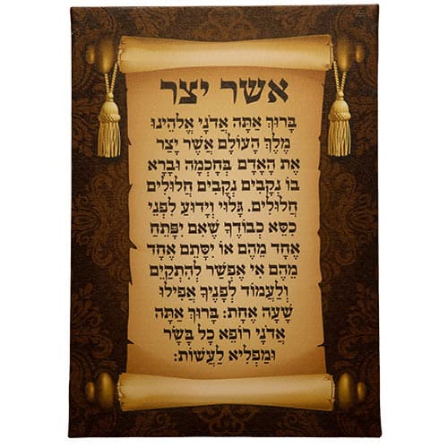 אשר יצר קנבס אשכנזי